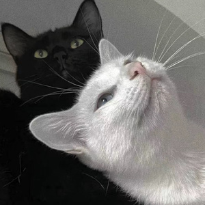 无删减版偷拍视频刘嘉玲
